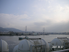s_PICT0385_thumb.png